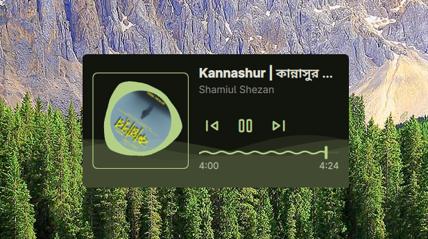 Media Player Widget