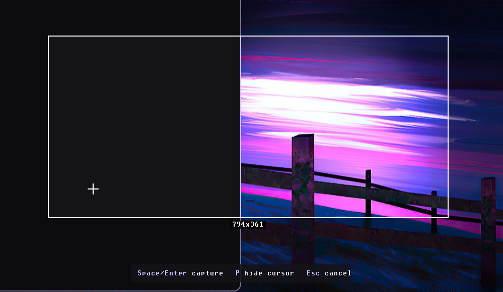 Screenshot Tool