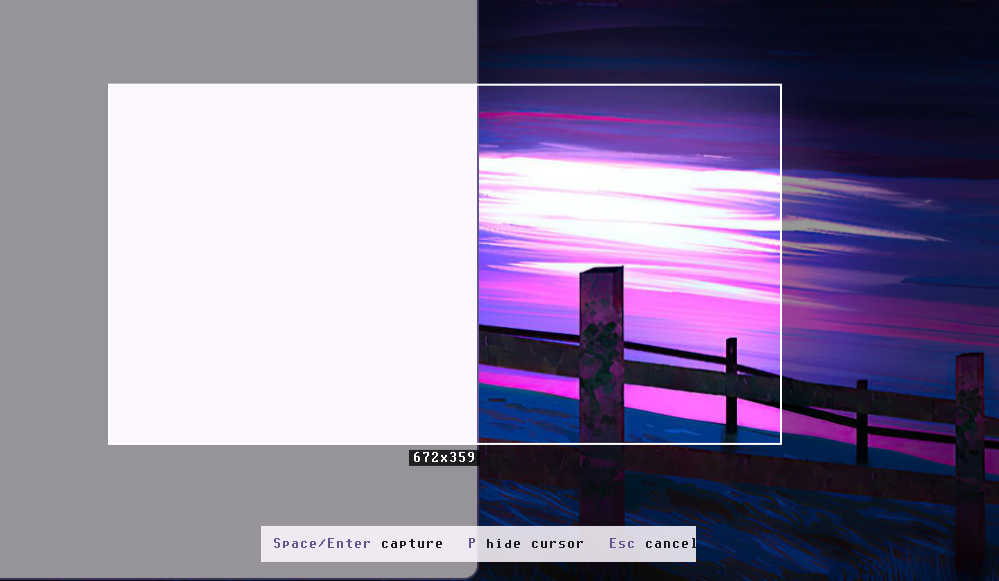 Screenshot Tool